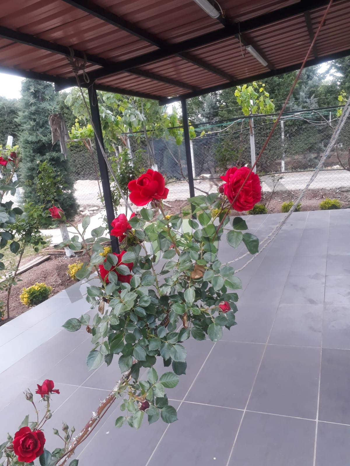 SATILIK HOBİ BAHÇESİ ARSA