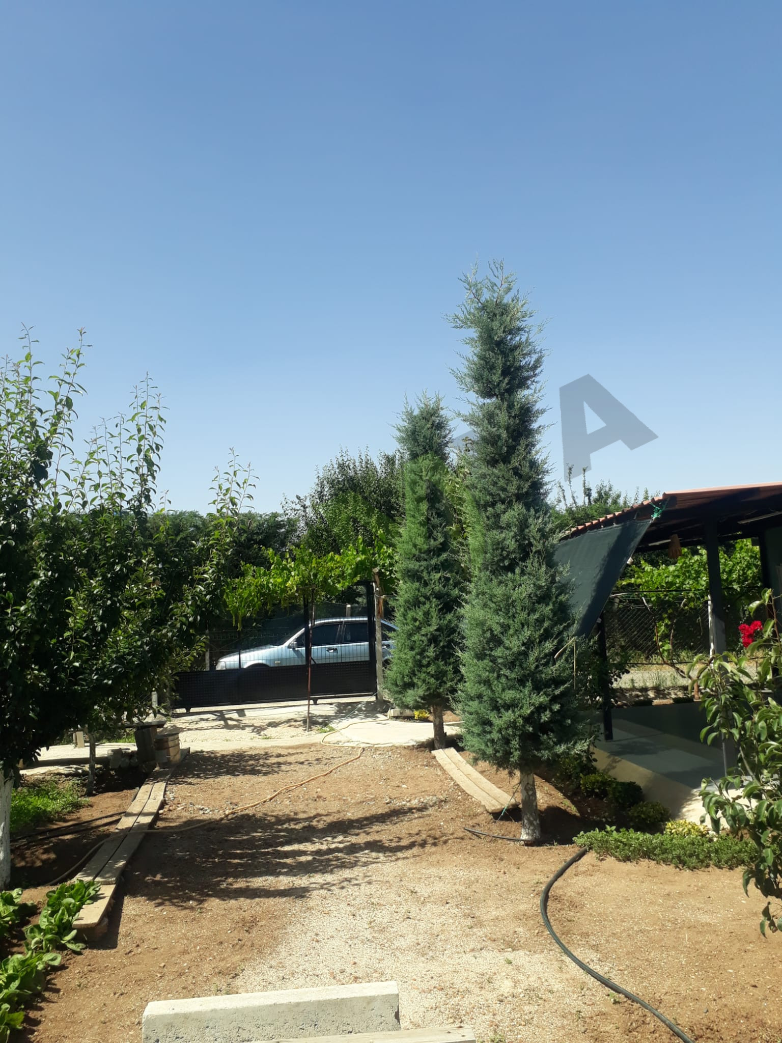 SATILIK HOBİ BAHÇESİ ARSA