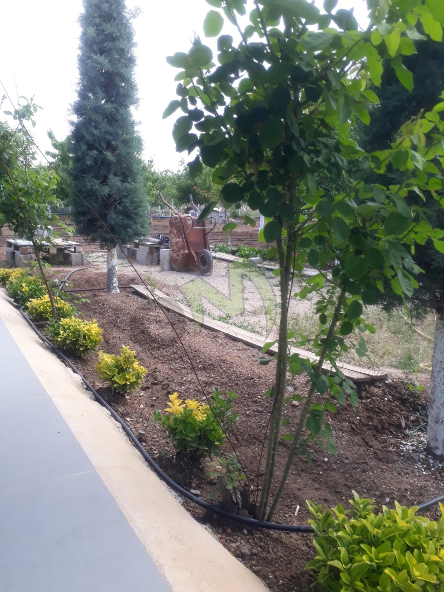 SATILIK HOBİ BAHÇESİ ARSA